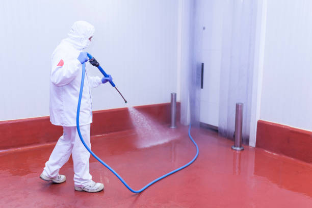 Professional Pressure Washing Services in Brilliant, AL